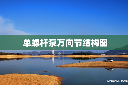  单螺杆泵万向节结构图