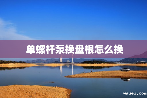  单螺杆泵换盘根怎么换