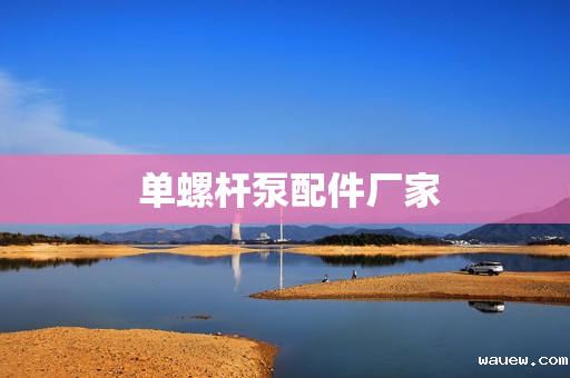  单螺杆泵配件厂家