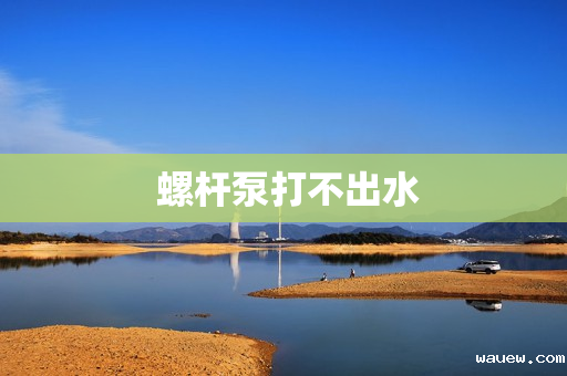  螺杆泵打不出水