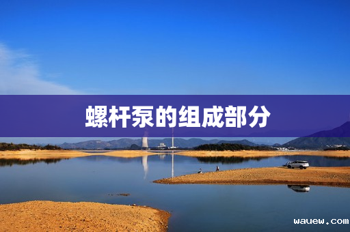  螺杆泵的组成部分