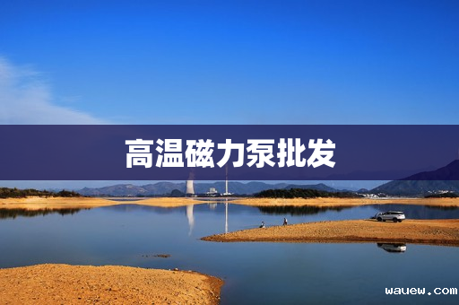 高温磁力泵批发