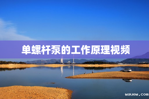  单螺杆泵的工作原理视频