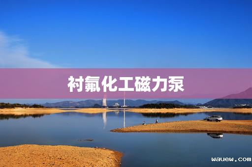 衬氟化工磁力泵