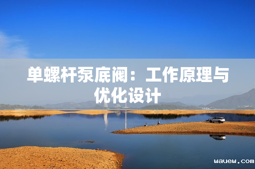 单螺杆泵底阀：工作原理与优化设计