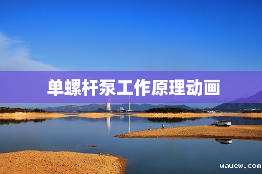  单螺杆泵工作原理动画