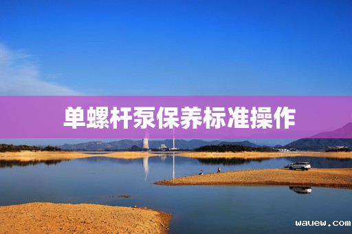  单螺杆泵保养标准操作