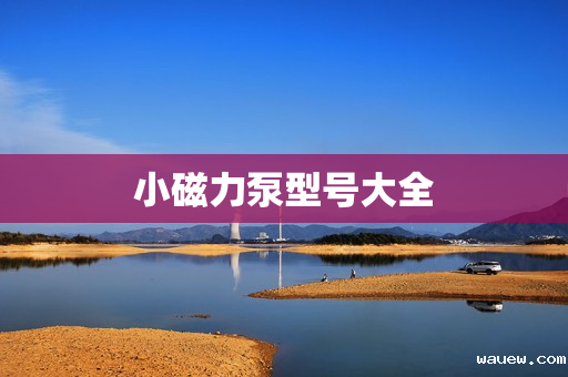 小磁力泵型号大全