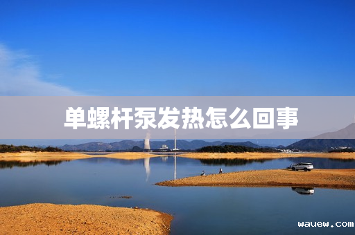  单螺杆泵发热怎么回事