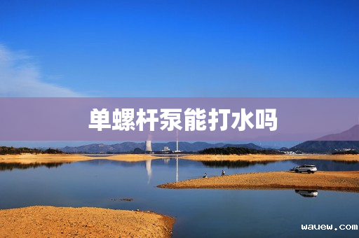  单螺杆泵能打水吗
