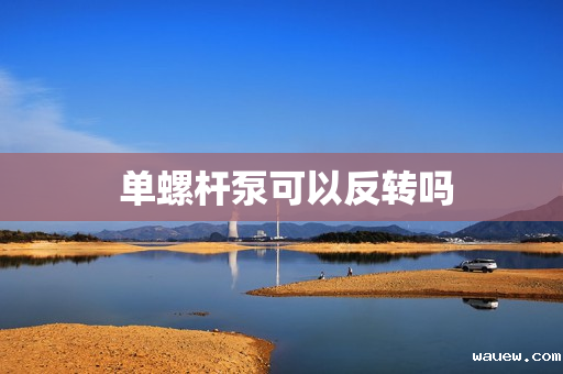 单螺杆泵可以反转吗