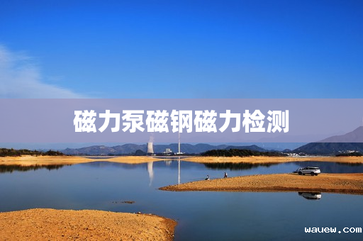 磁力泵磁钢磁力检测