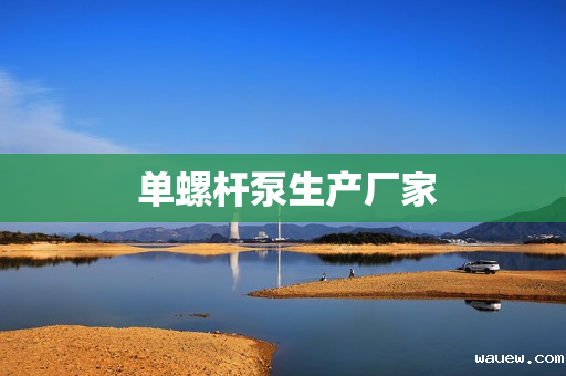  单螺杆泵生产厂家