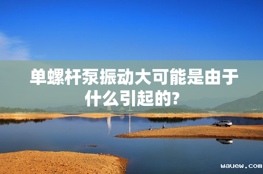  单螺杆泵振动大可能是由于什么引起的?