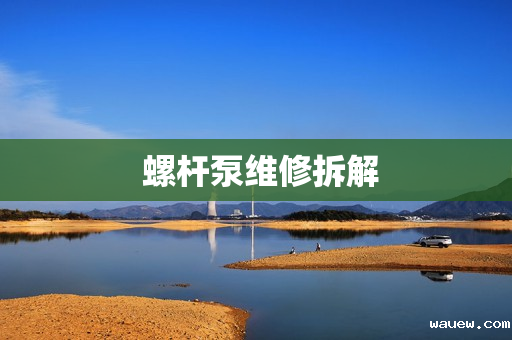  螺杆泵维修拆解