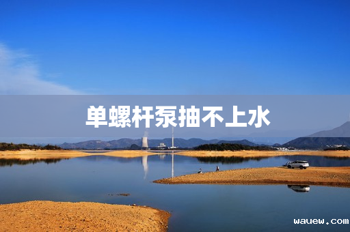  单螺杆泵抽不上水