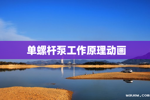  单螺杆泵工作原理动画