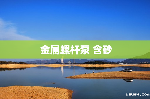  金属螺杆泵 含砂