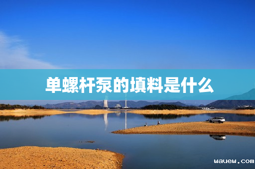  单螺杆泵的填料是什么