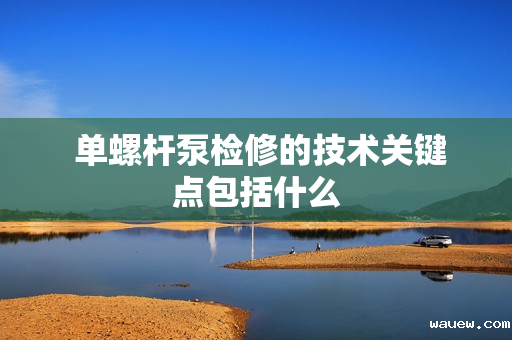  单螺杆泵检修的技术关键点包括什么