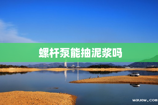  螺杆泵能抽泥浆吗