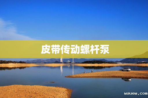  皮带传动螺杆泵