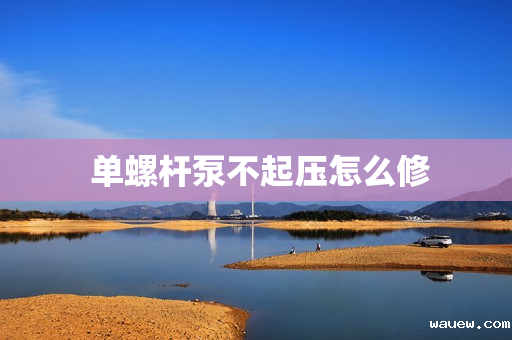  单螺杆泵不起压怎么修