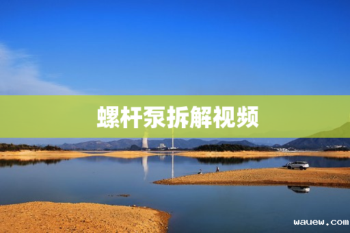  螺杆泵拆解视频