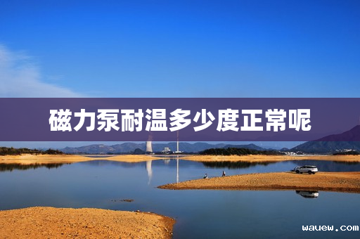 磁力泵耐温多少度正常呢