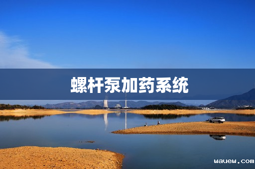  螺杆泵加药系统