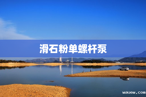 滑石粉单螺杆泵