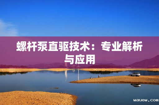 螺杆泵直驱技术：专业解析与应用