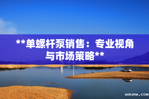 **单螺杆泵销售：专业视角与市场策略**