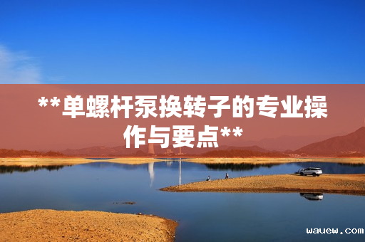 **单螺杆泵换转子的专业操作与要点**