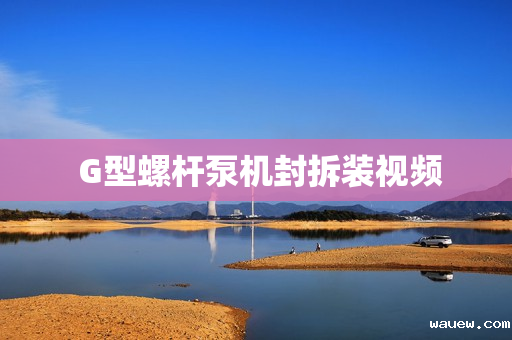  G型螺杆泵机封拆装视频