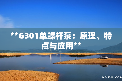 **G301单螺杆泵：原理、特点与应用**