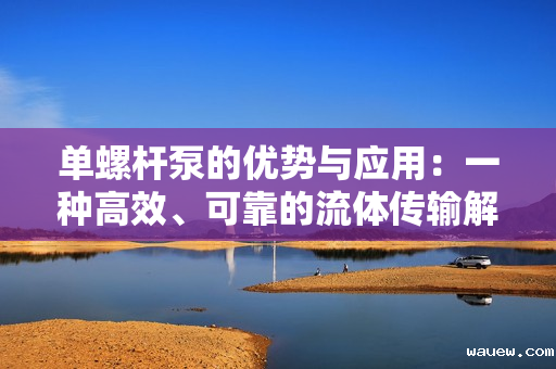 单螺杆泵的优势与应用：一种高效、可靠的流体传输解决方案