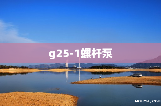 g25-1螺杆泵