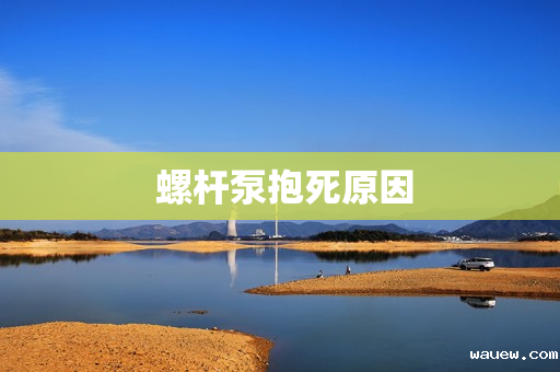  螺杆泵抱死原因