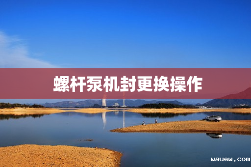  螺杆泵机封更换操作