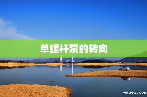 单螺杆泵的转向