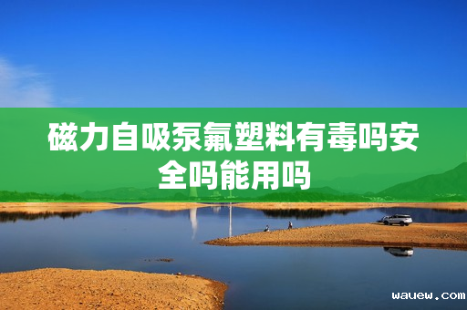 磁力自吸泵氟塑料有毒吗安全吗能用吗