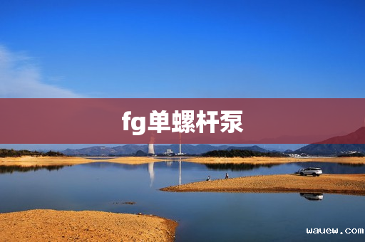 fg单螺杆泵