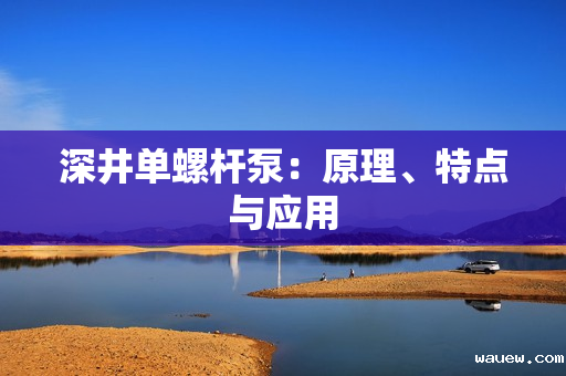 深井单螺杆泵：原理、特点与应用