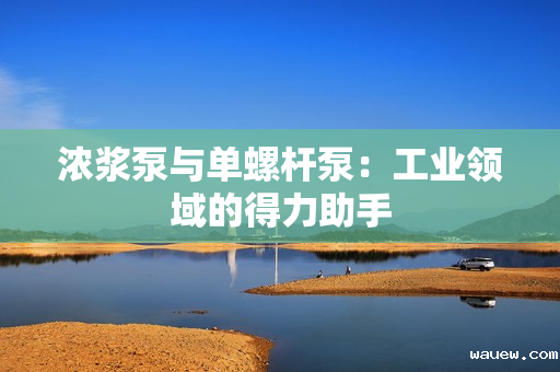 浓浆泵与单螺杆泵：工业领域的得力助手