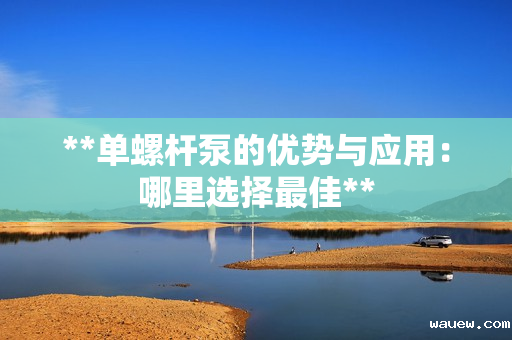 **单螺杆泵的优势与应用：哪里选择最佳**