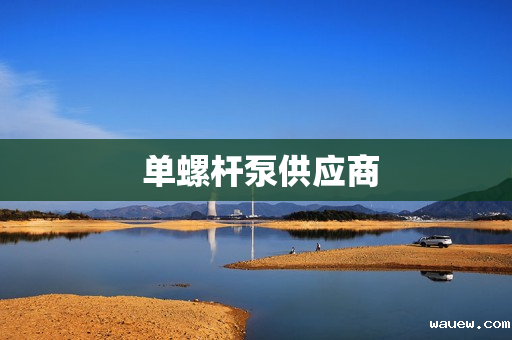  单螺杆泵供应商