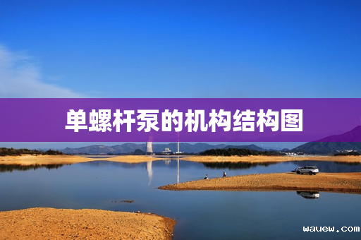  单螺杆泵的机构结构图