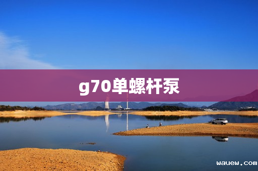 g70单螺杆泵