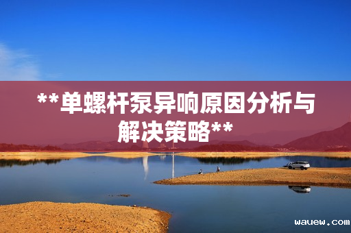 **单螺杆泵异响原因分析与解决策略**